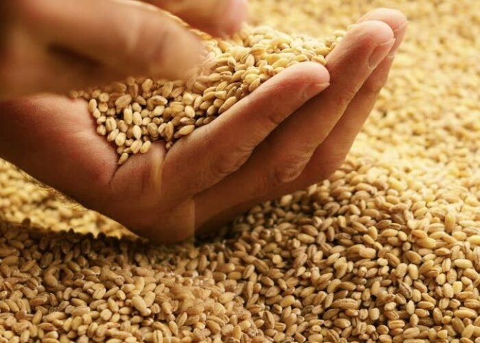 Maltings2